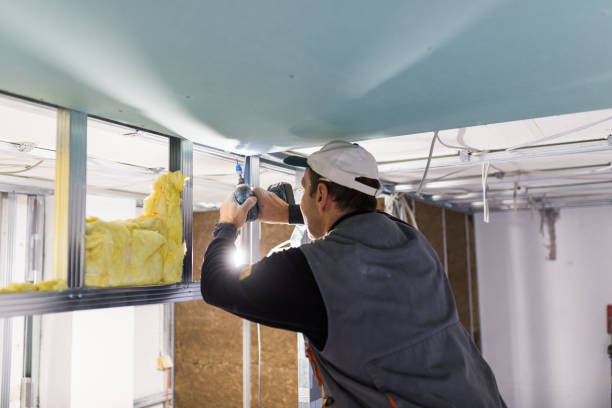 Best Commercial Insulation in Trussville, AL