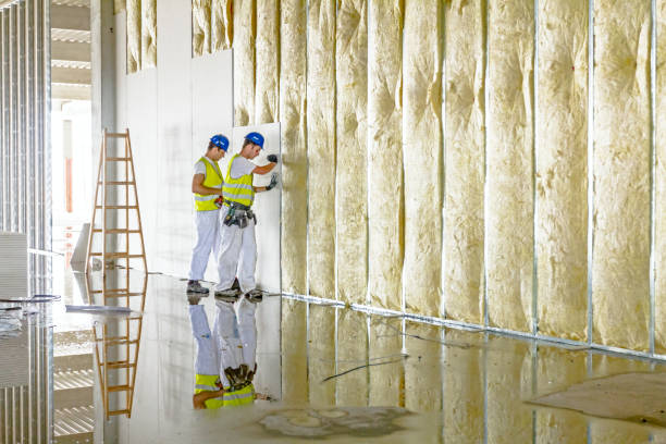 Best Residential Insulation in Trussville, AL